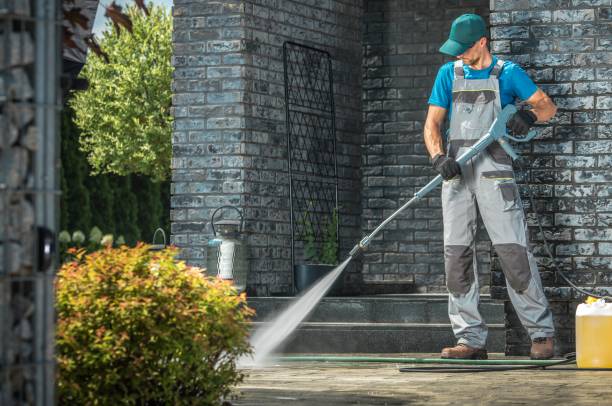 Best Patio and Deck Pressure Washing  in Indian River, MI